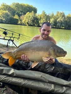 Mirror Carp