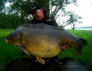 Mirror Carp