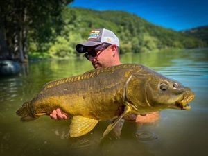 Mirror Carp