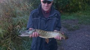 Northern Pike
