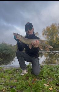 Northern Pike