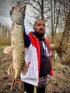 Northern Pike