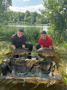 Mirror Carp