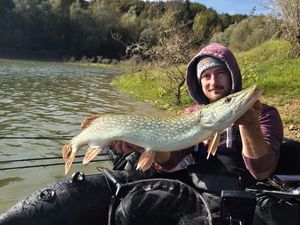 Northern Pike
