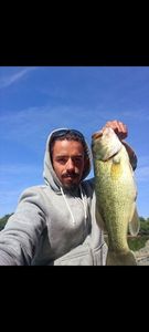 Largemouth Bass