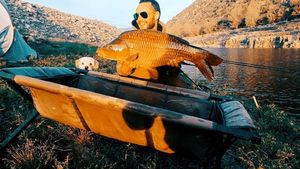 Crucian Carp