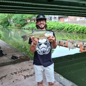 Smallmouth Bass