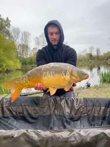 Leather Carp