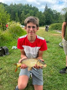 Common Carp
