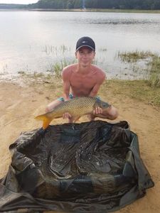 Common Carp