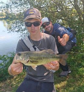 Largemouth Bass