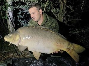 Mirror Carp