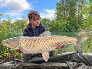 Grass Carp