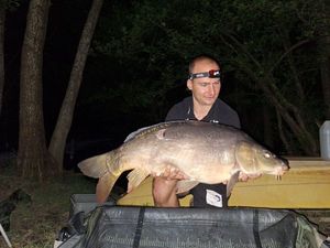 Mirror Carp