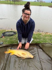 Mirror Carp