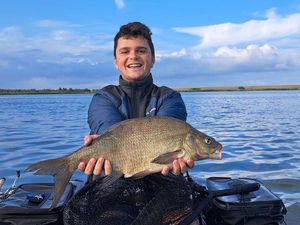 Common Bream