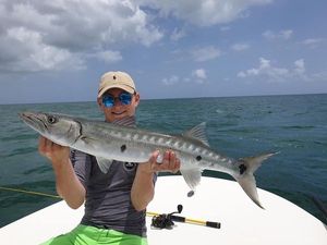 Great Barracuda