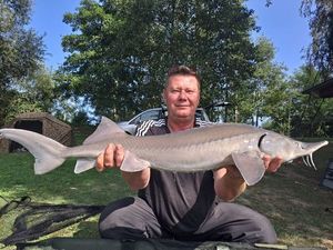 Sturgeon