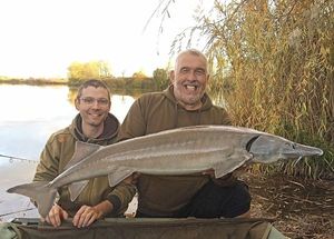 Siberian Sturgeon