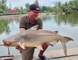 Mekong Giant Catfish