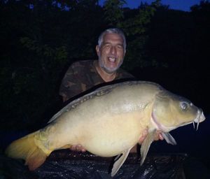 Mirror Carp