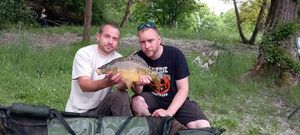 Mirror Carp
