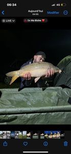 Mirror Carp