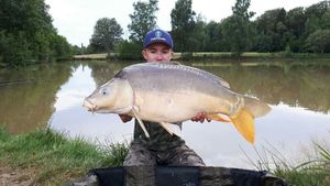 Mirror Carp