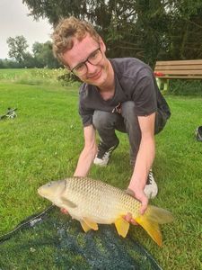 Common Carp