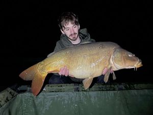 Mirror Carp