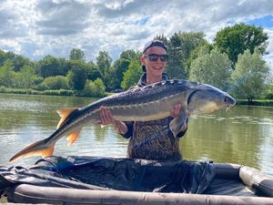 Sturgeon