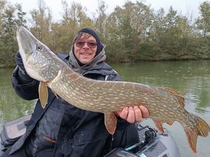Northern Pike