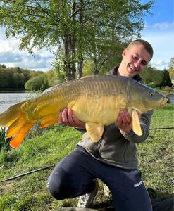 Mirror Carp