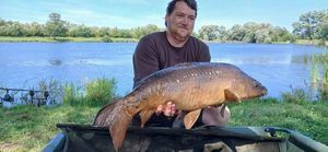 Mirror Carp