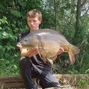 Mirror Carp