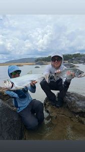 Payara