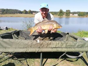 Mirror Carp