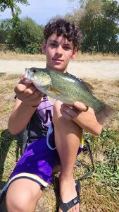 Largemouth Bass