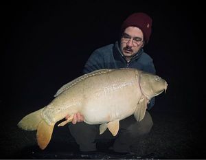 Mirror Carp