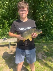 Common Carp