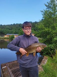 Common Carp