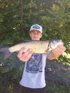 Chub