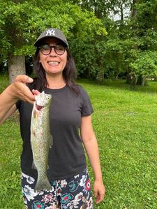 Rainbow Trout