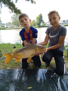 Mirror Carp