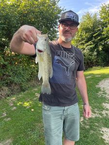 Largemouth Bass