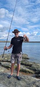 European Bass (Seabass)
