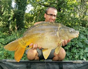 Mirror Carp