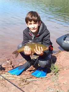 Common Carp