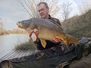 Mirror Carp