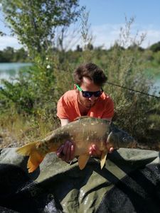 Mirror Carp